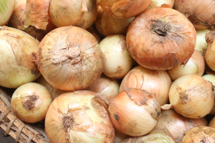 Ognons blancs : 1ère qualité